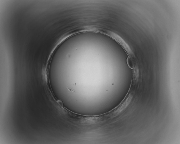 X0000102260908200807251327