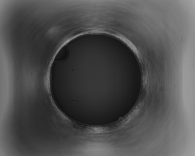 X0000102260911200807251327