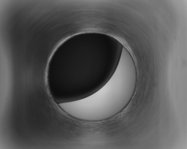 X0000102260912200807251327