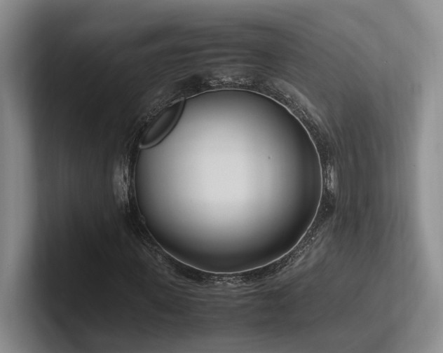 X0000102260915200807251326