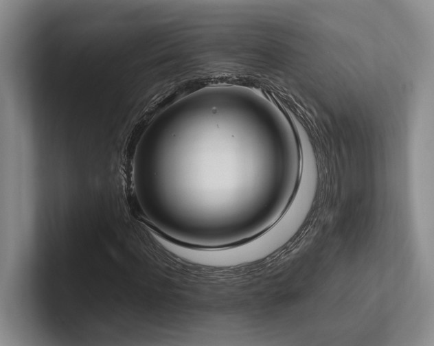 X0000102260916200807251326