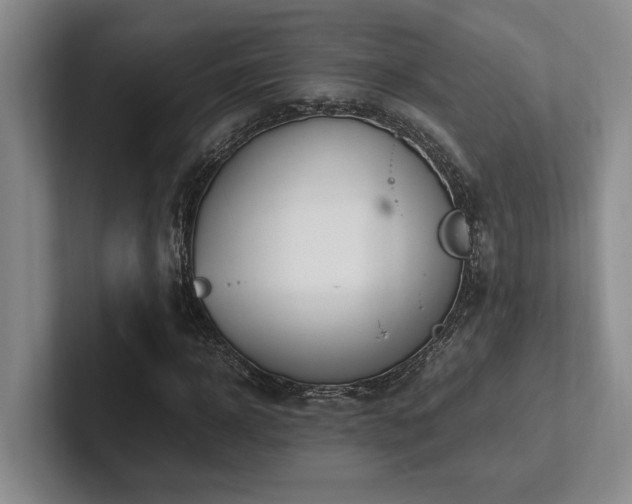 X0000102260918200807251326