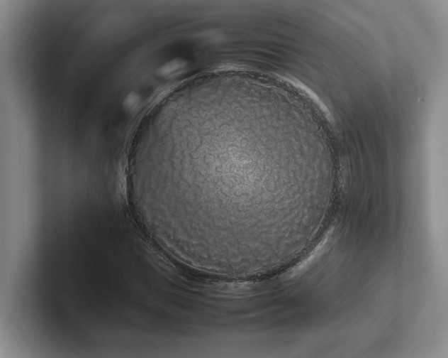 X0000102260921200807251326