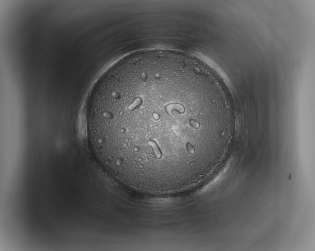 X0000102260925200807251326