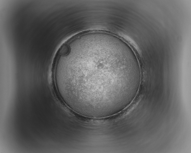 X0000102260928200807251326