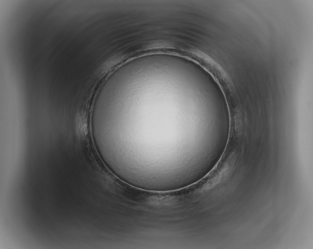 X0000102260929200807251326