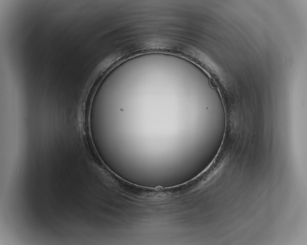 X0000102260930200807251326
