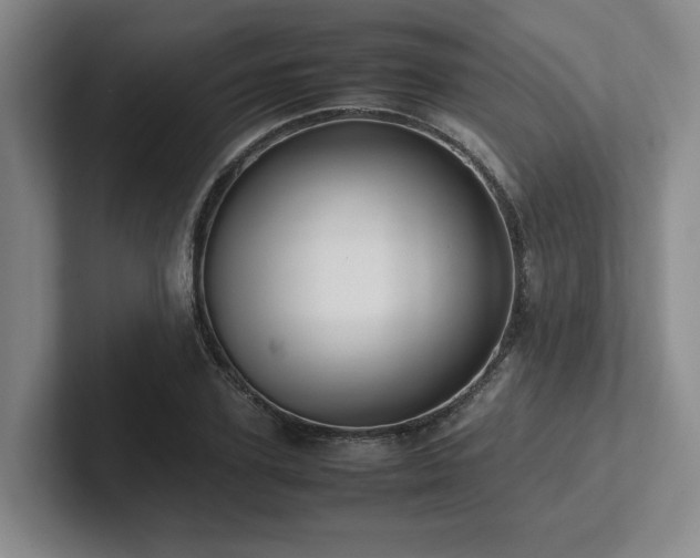 X0000102260931200807251326
