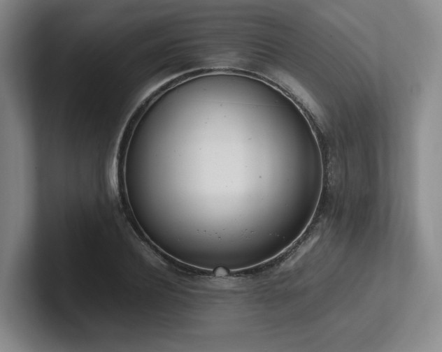 X0000102260932200807251326