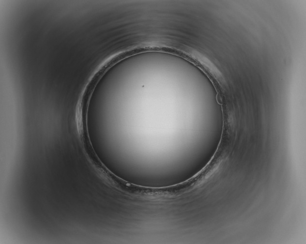 X0000102260934200807251326