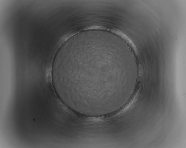 X0000102260937200807251326