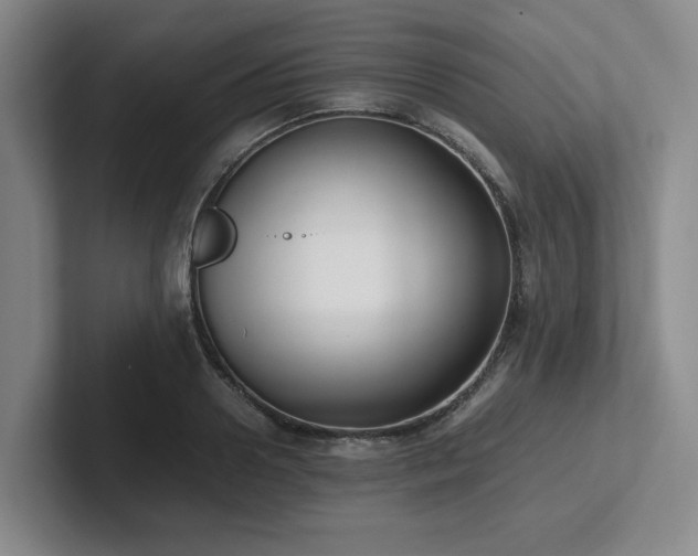 X0000102260938200807251326