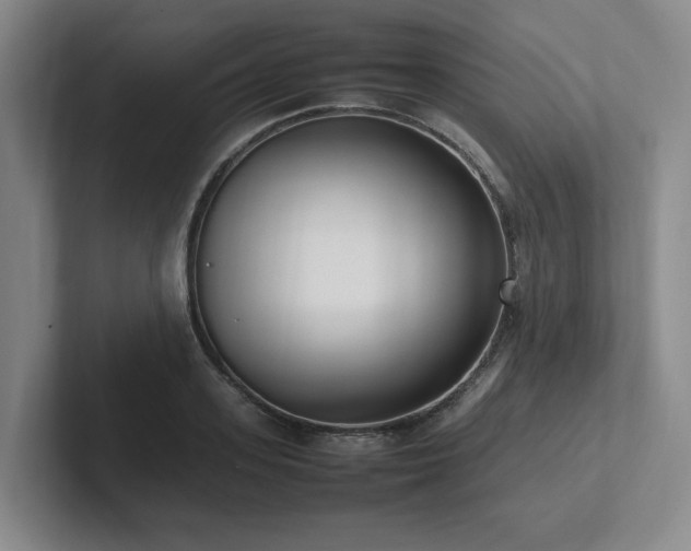 X0000102260939200807251326