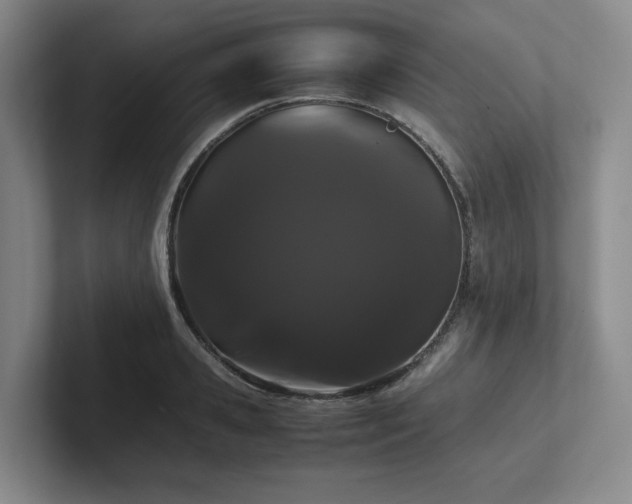 X0000102260941200807251326