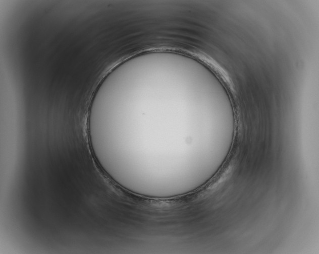 X0000102260945200807251326