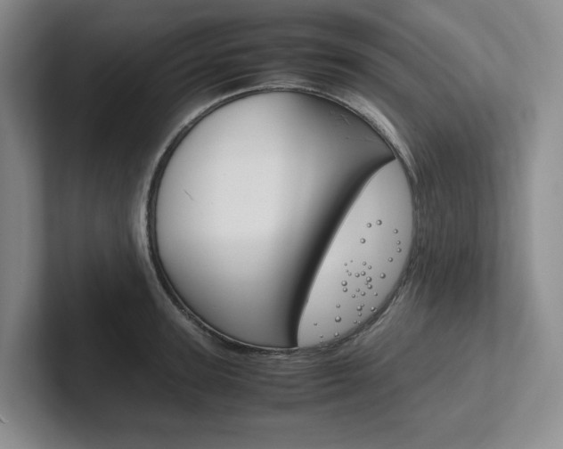 X0000102260947200807251327