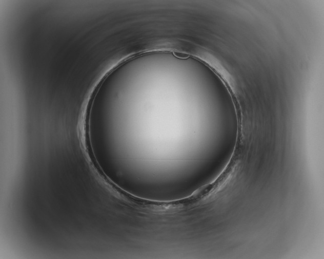 X0000102260949200807251327