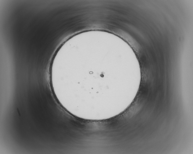 X0000102260950200807251327