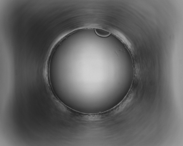 X0000102260952200807251327