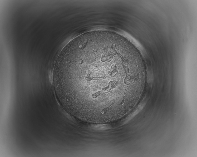X0000102260953200807251327