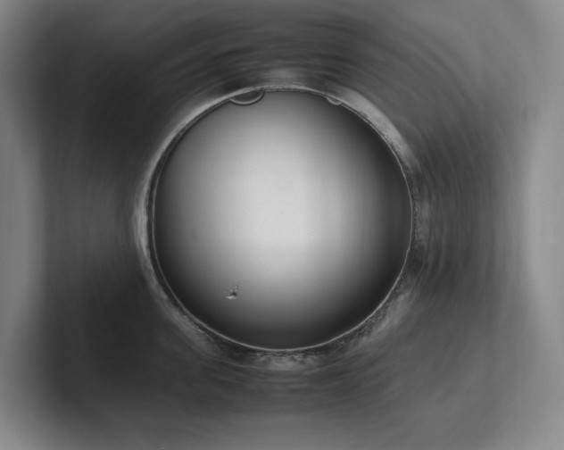 X0000102260955200807251327