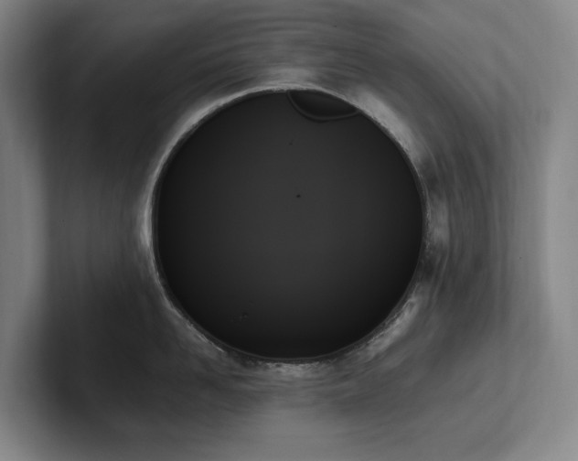 X0000102260958200807251327