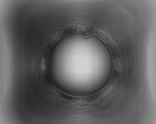 X0000102260962200807251326