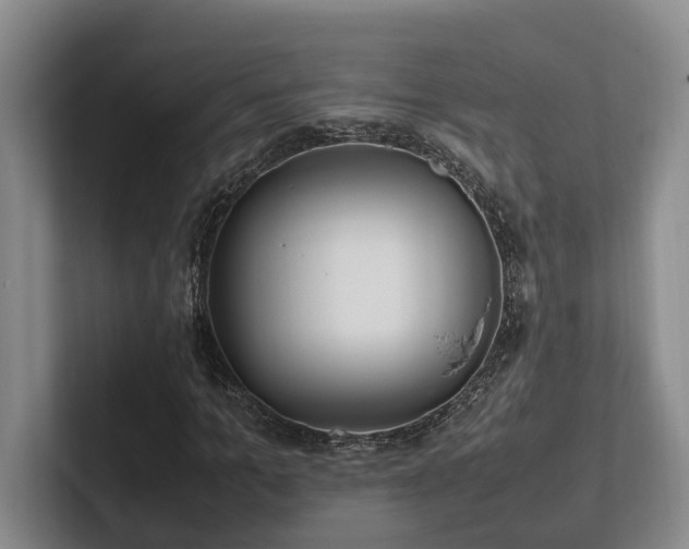 X0000102260965200807251326
