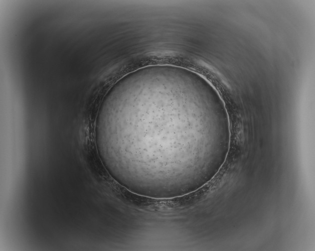 X0000102260966200807251326