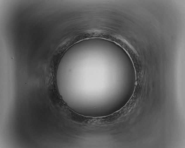 X0000102260967200807251326