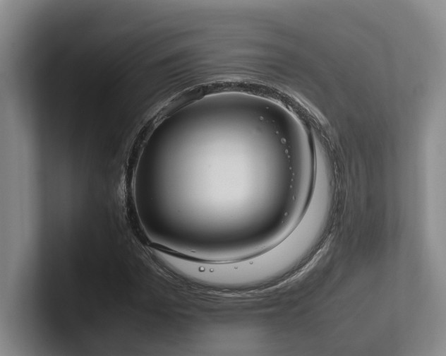 X0000102260969200807251326