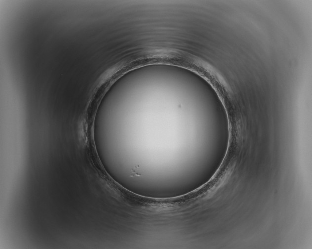 X0000102260970200807251326