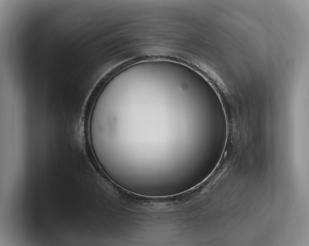 X0000102260976200807251326