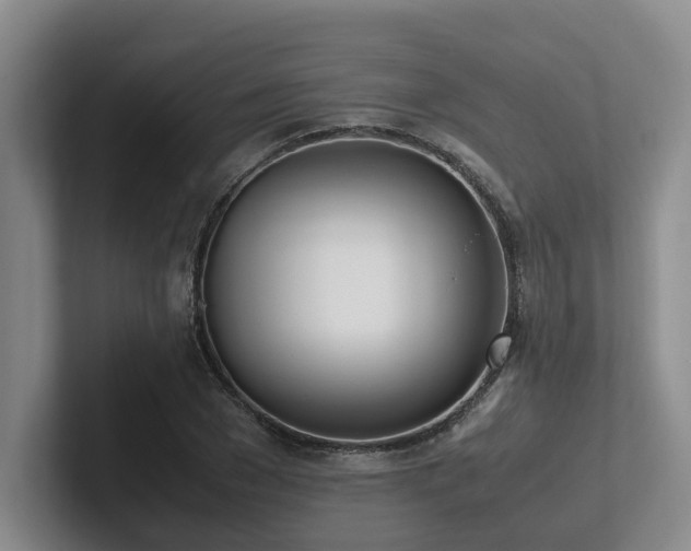 X0000102260977200807251326