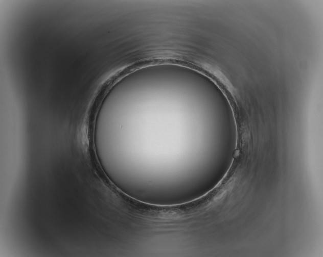 X0000102260979200807251326