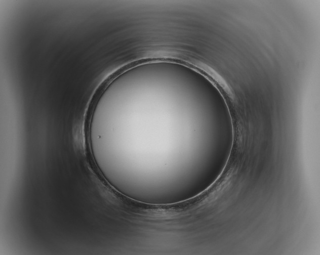 X0000102260980200807251326