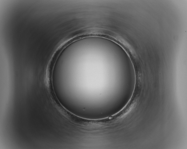 X0000102260981200807251326
