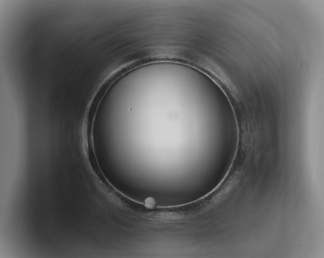 X0000102260984200807251326