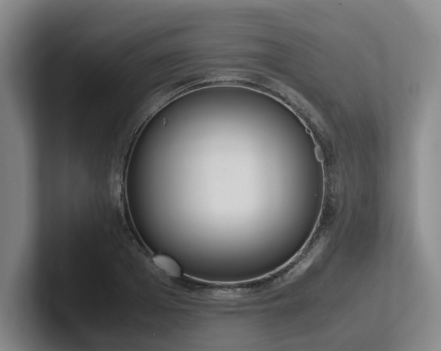 X0000102260985200807251326