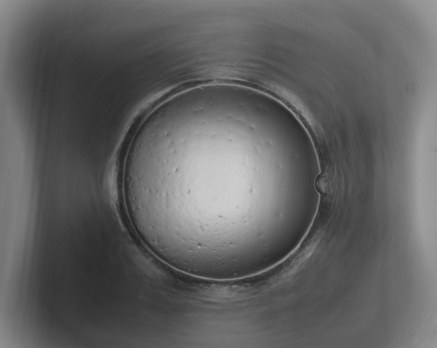 X0000102260987200807251326