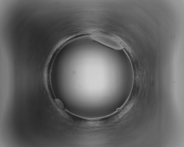 X0000102260989200807251326