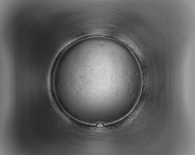 X0000102260991200807251326