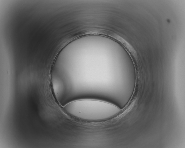 X0000102260993200807251326