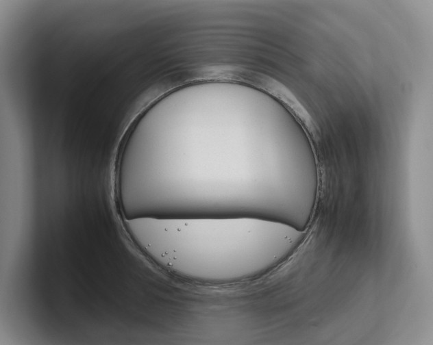X0000102260994200807251326