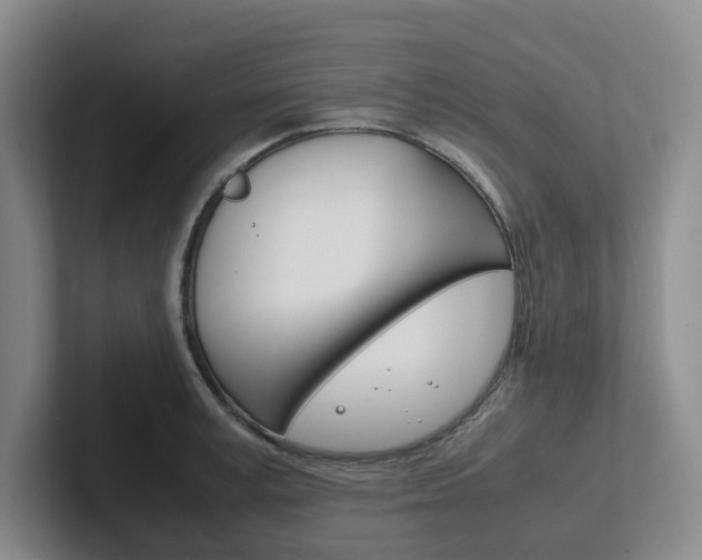 X0000102260995200807251326