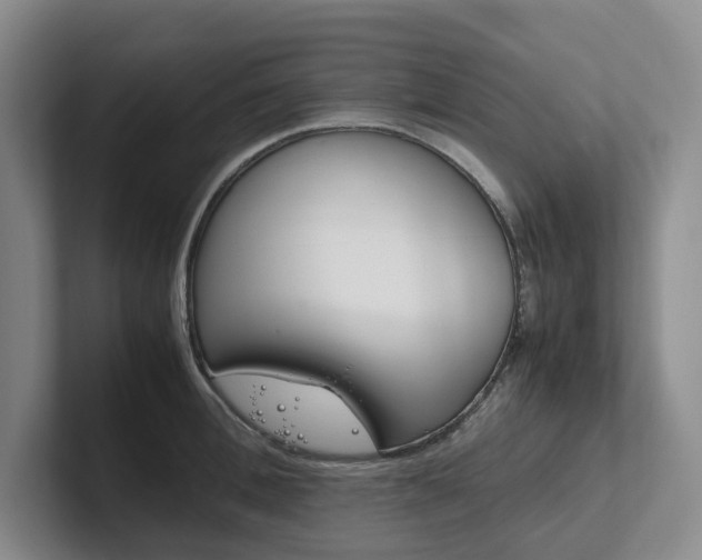 X0000102260996200807251326