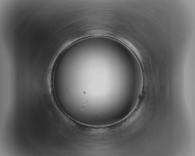 X0000102260997200807251326