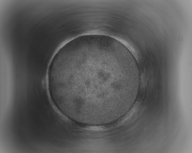 X0000102260998200807251326