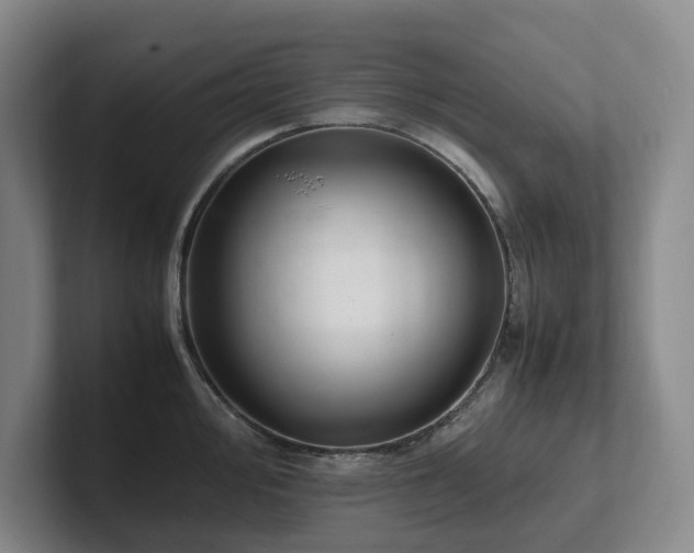 X0000102261000200807251326