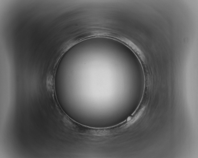 X0000102261001200807251326